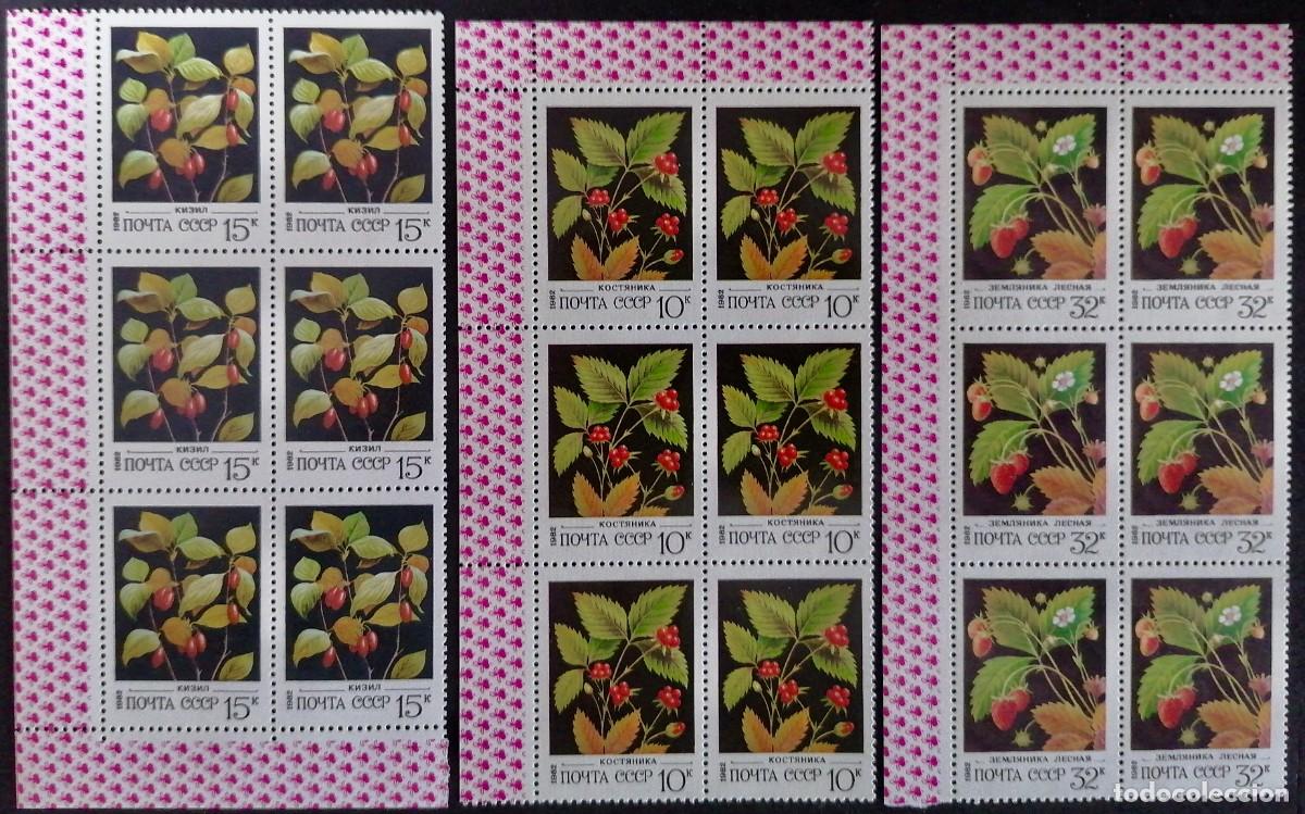 Sellos: URSS 1982 - BAYAS SILVESTRES . - Foto 2