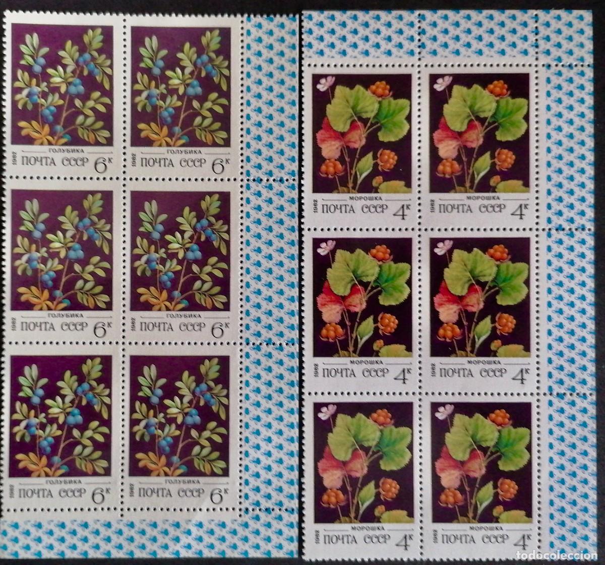 Sellos: URSS 1982 - BAYAS SILVESTRES . - Foto 3