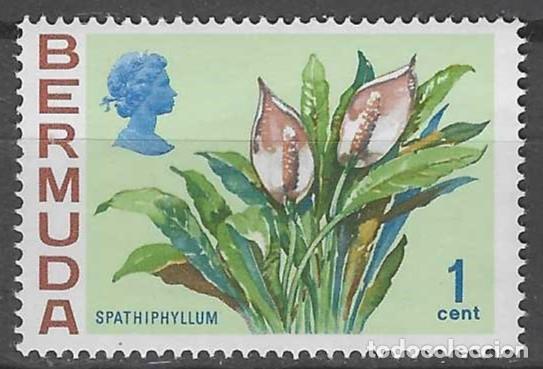 Sellos: BERMUDA 1970 - FLORES, ESPATIFILO - MNH** - Foto 1