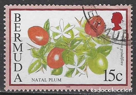 Sellos: BERMUDA 1994 - FRUTAS, CIRUELO DE NATAL - USADO - Foto 1