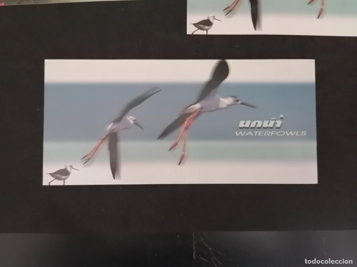 Sellos: TAILANDIA 1997 - AVES ACU&Aacute;TICAS . - Foto 3