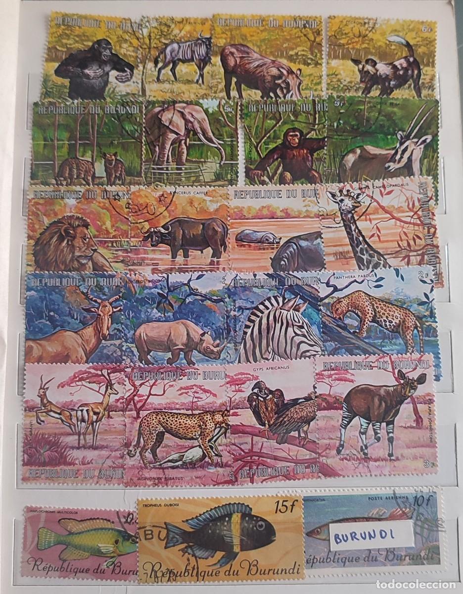 Sellos: 1545 SELLOS DE TODO EL MUNDO - Foto 1