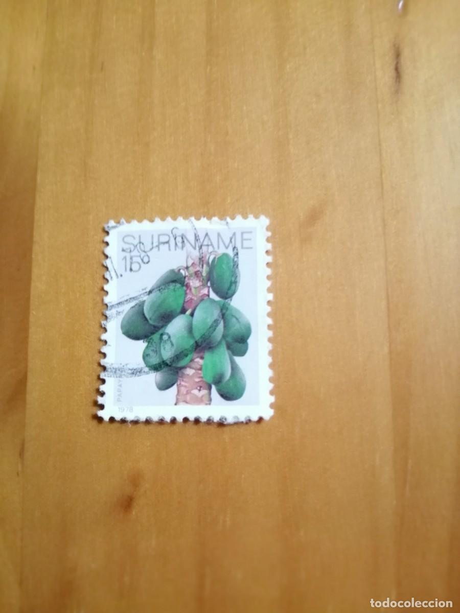 Selos: SURINAME, SURINAM, ANTIGUA GUAYANA NEERLANSE - VALOR FACIAL 15 - PAPAYA