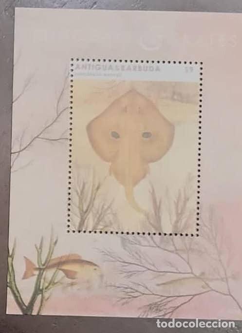Briefmarken: O) 2012 ANTIGUA AND BARBUDA, STINGRAY - LEUCORAJA, MNH