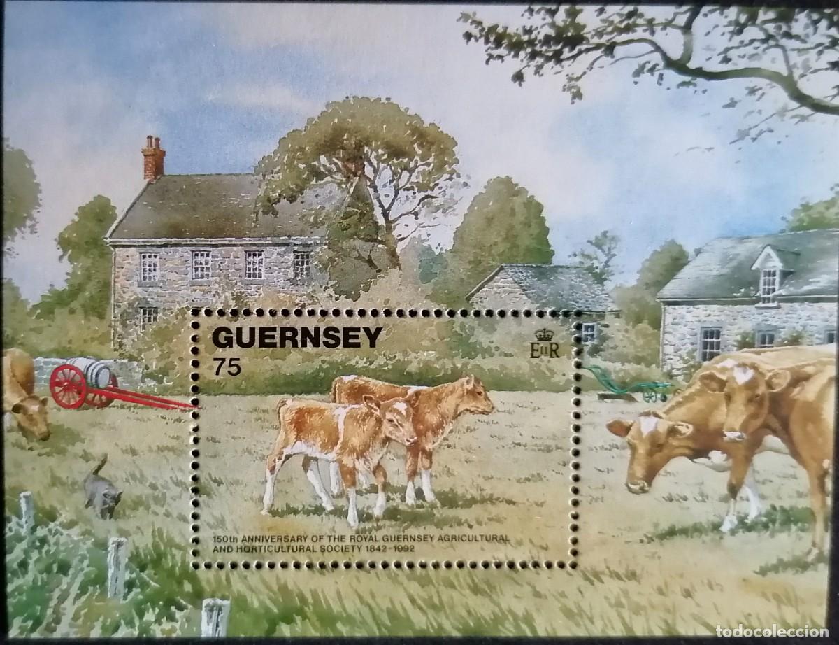 Sellos: GUERNSEY 1992 - HB GANADER&Iacute;A . - Foto 1
