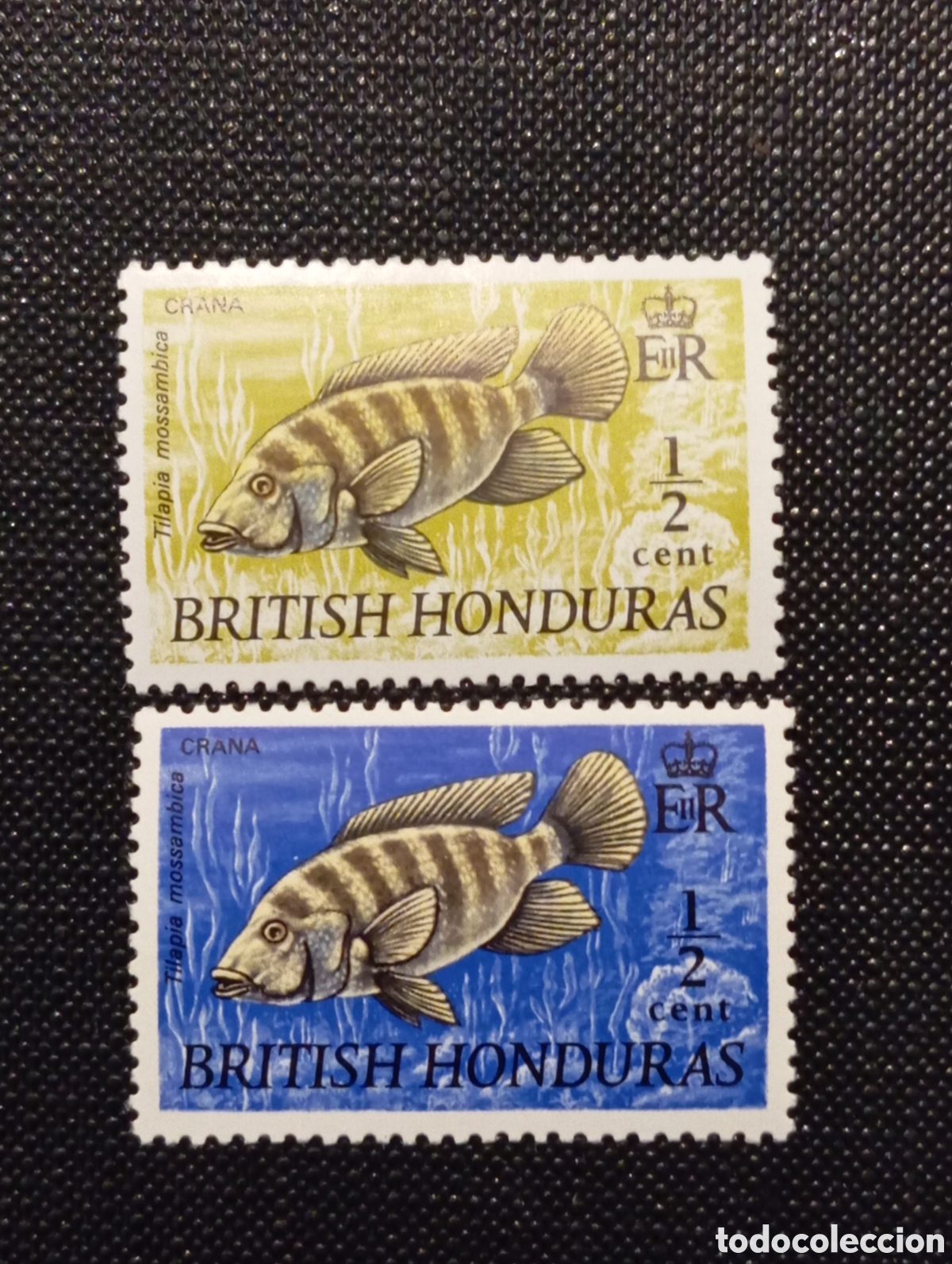 Stamps: Honduras Brit&aacute;nica 1969 Vida Silvestre 1/2c Pescado - Nuevos con Fijasello