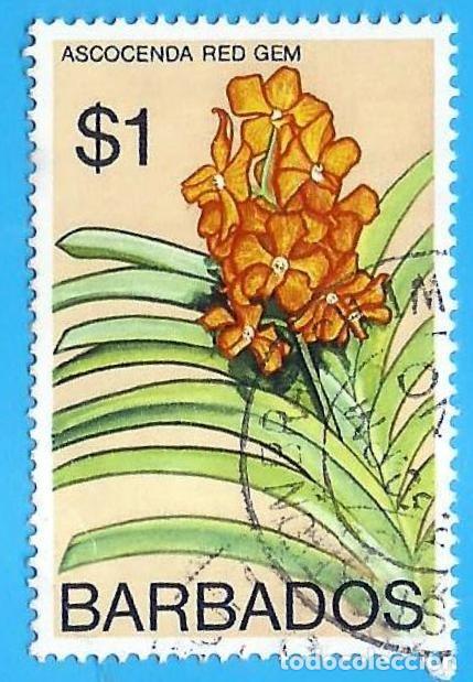 Sellos: BARBADOS. 1974. FLORES. ORQUIDEAS - Foto 1