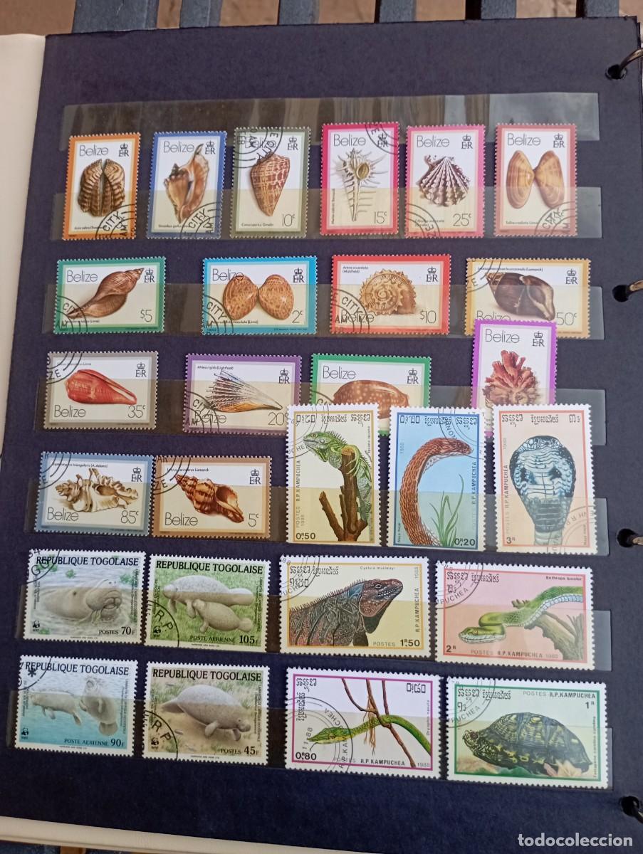 Sellos: Lote colecci&oacute;n sellos tem&aacute;ticos - Foto 4