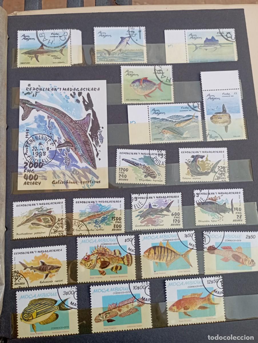 Sellos: Lote colecci&oacute;n sellos tem&aacute;ticos - Foto 5