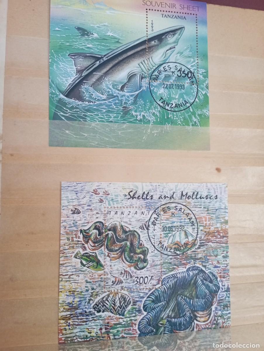 Sellos: Lote colecci&oacute;n sellos tem&aacute;ticos - Foto 8