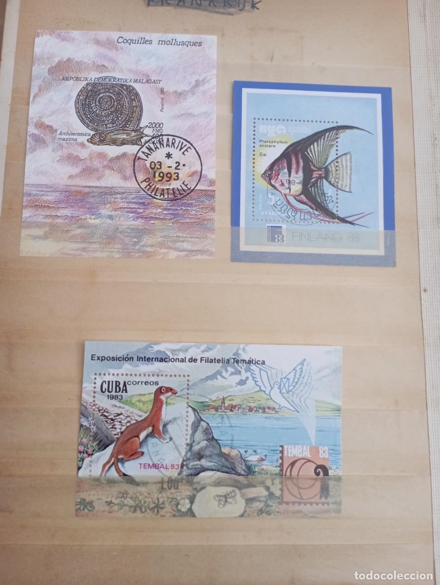 Sellos: Lote colecci&oacute;n sellos tem&aacute;ticos - Foto 10