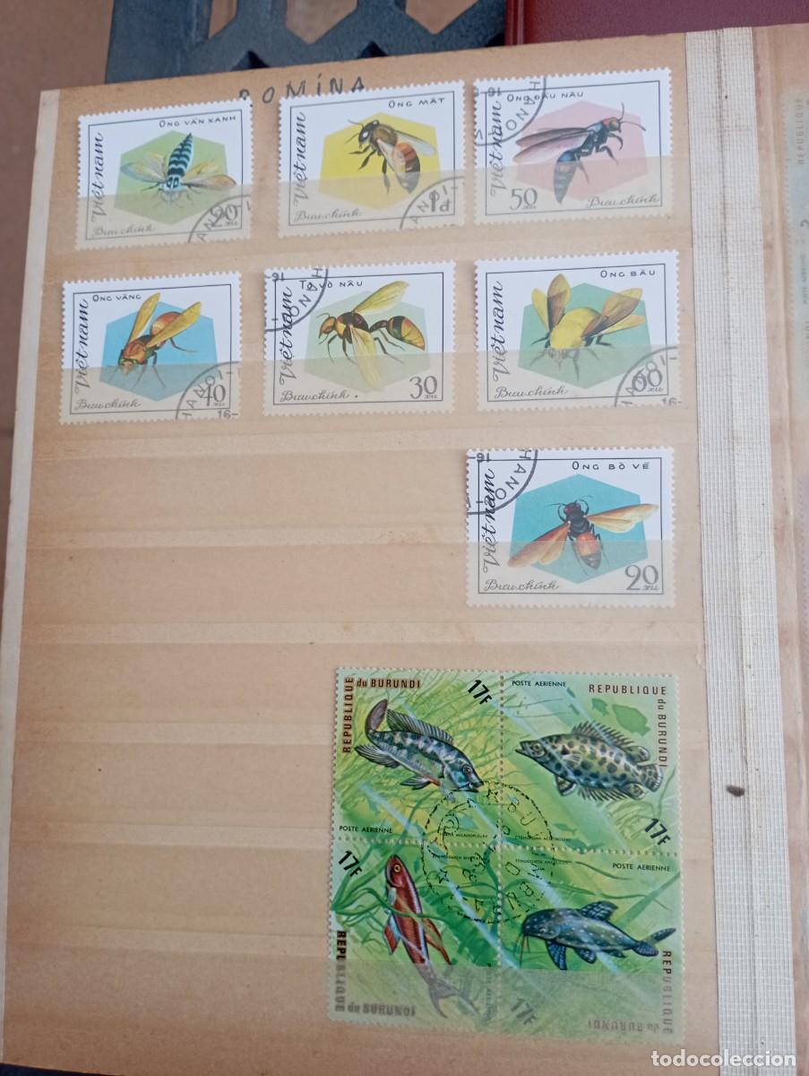Sellos: Lote colecci&oacute;n sellos tem&aacute;ticos - Foto 14