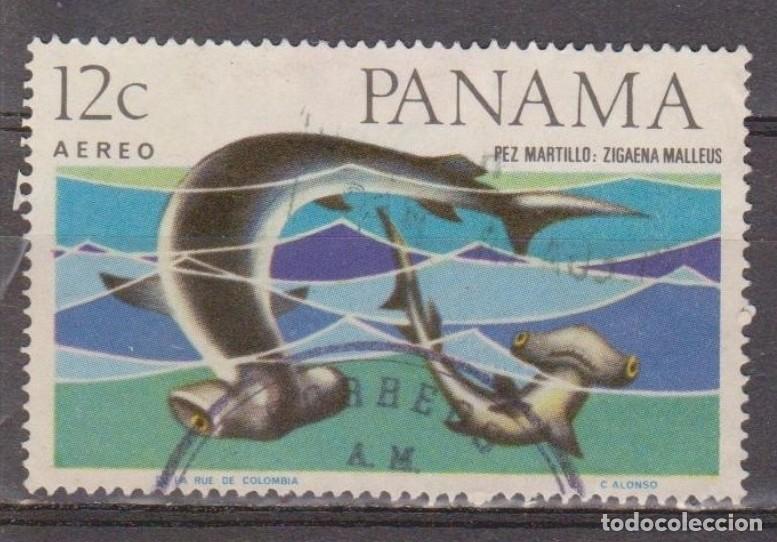 Sellos: PANAM&Aacute; 1967. TIBUR&Oacute;N MARTILLO. USADO . - Foto 1