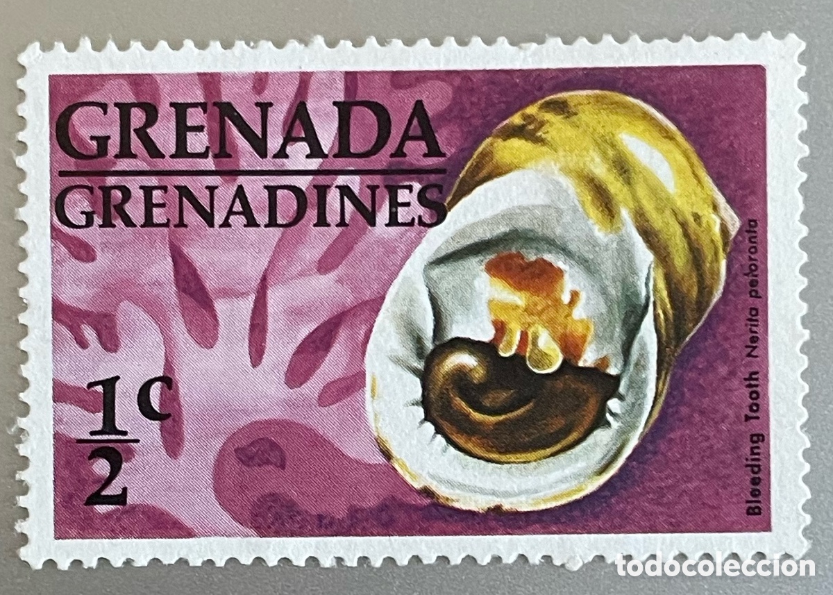 Sellos: Granadinas de Granada. Conchas. 1976 - Foto 1