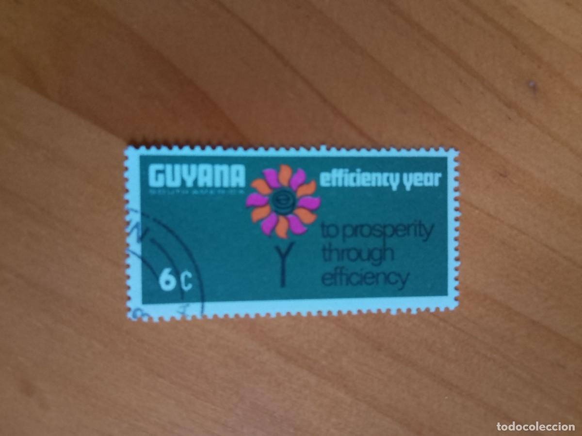 Sellos: GUYANA - V/F 6 C - FLOR, EFFICIENCY YEAR - Foto 1