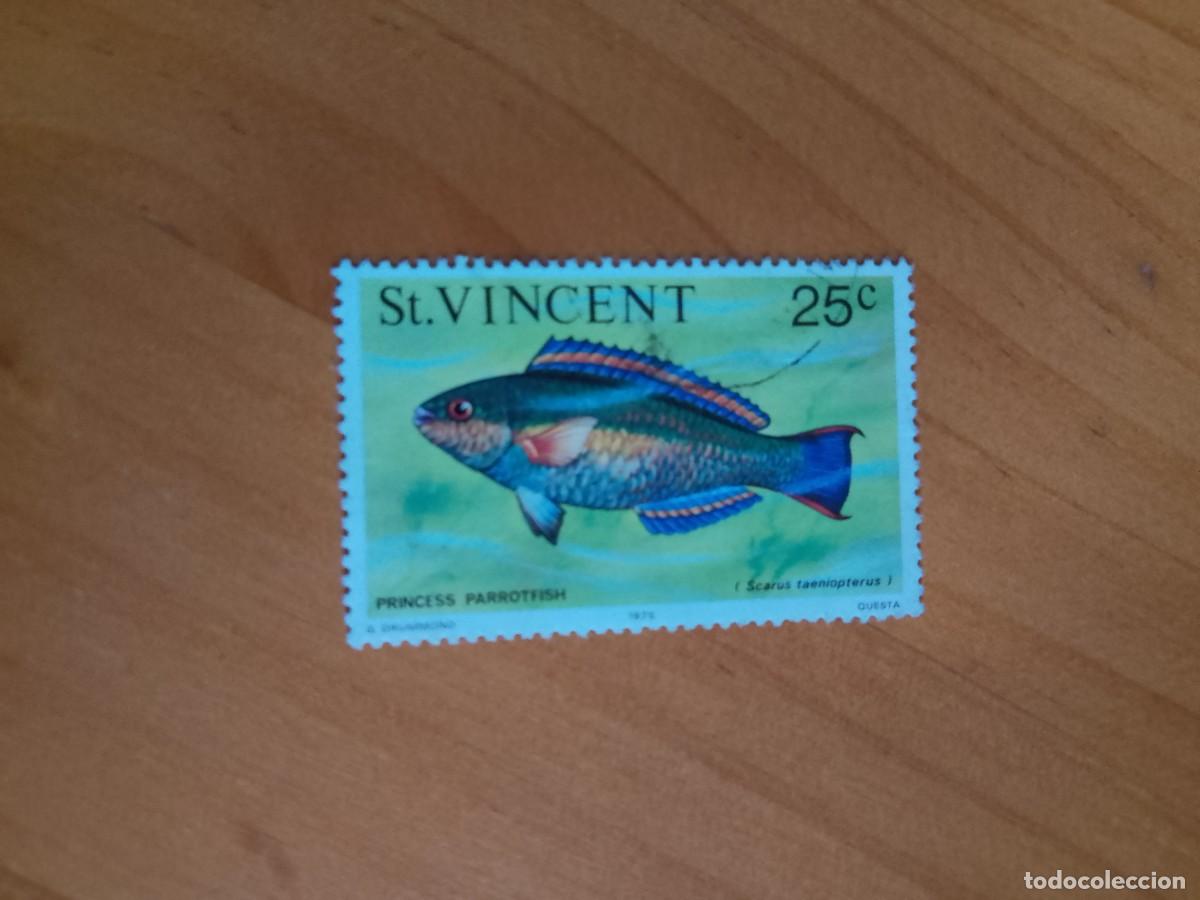 Sellos: ST. VINCENT - V/F 25 C - PEZ - Foto 1