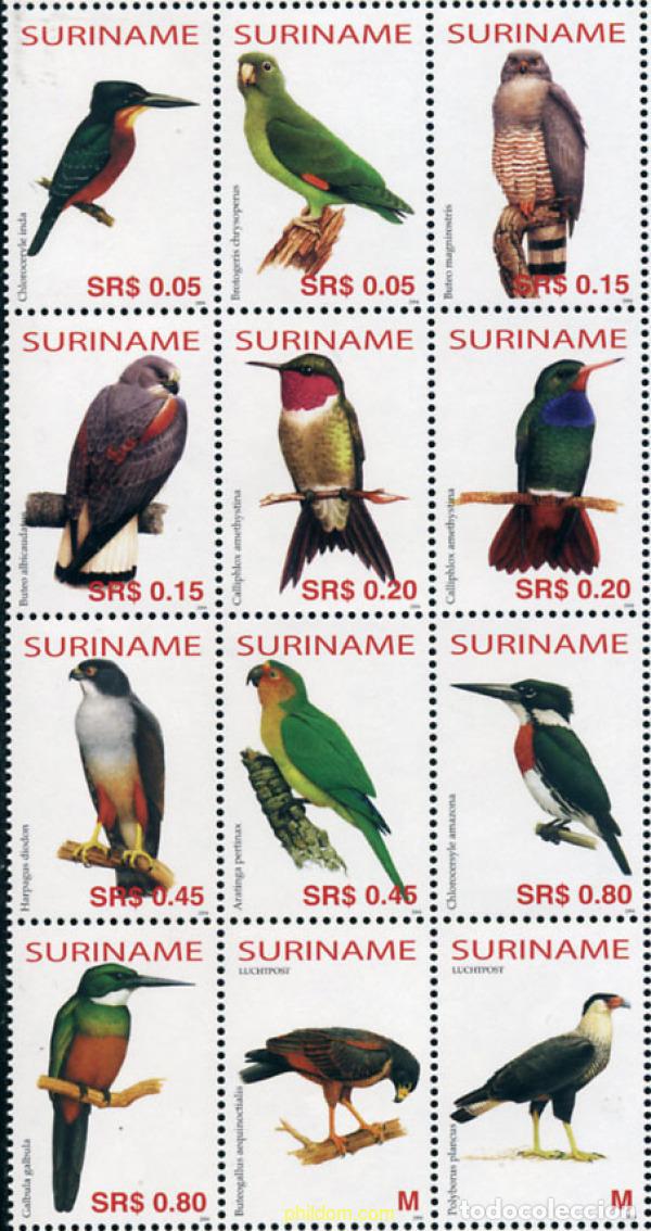 Sellos: 169650 MNH SURINAM 2004 AVES - Foto 1
