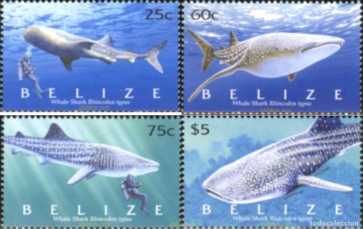Sellos: 173359 MNH BELIZE 2004 BALLENAS - Foto 1