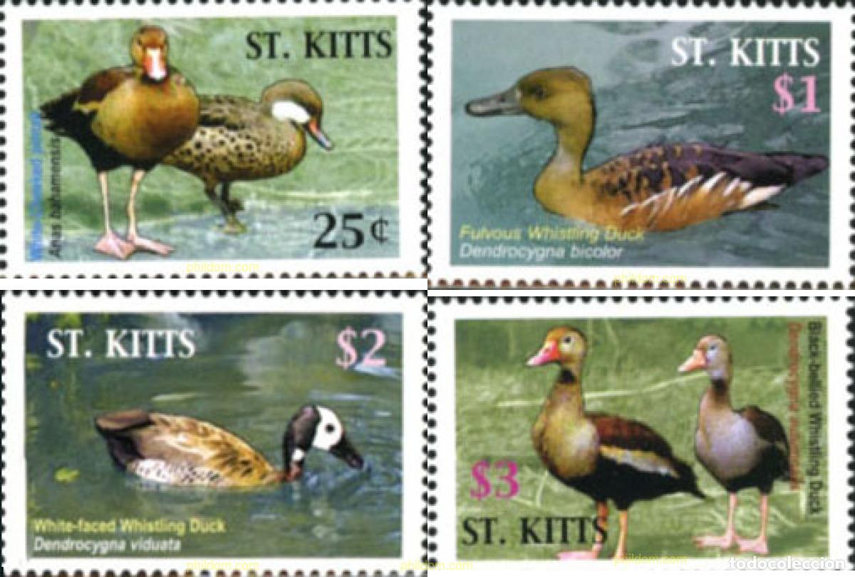 Sellos: 183155 MNH SAN KITTS 2005 PATOS - Foto 1