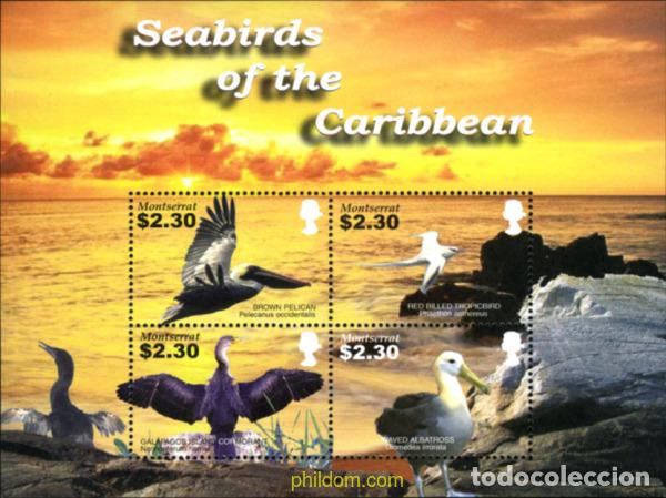 Sellos: 228092 MNH MONTSERRAT 2005 AVES - Foto 1