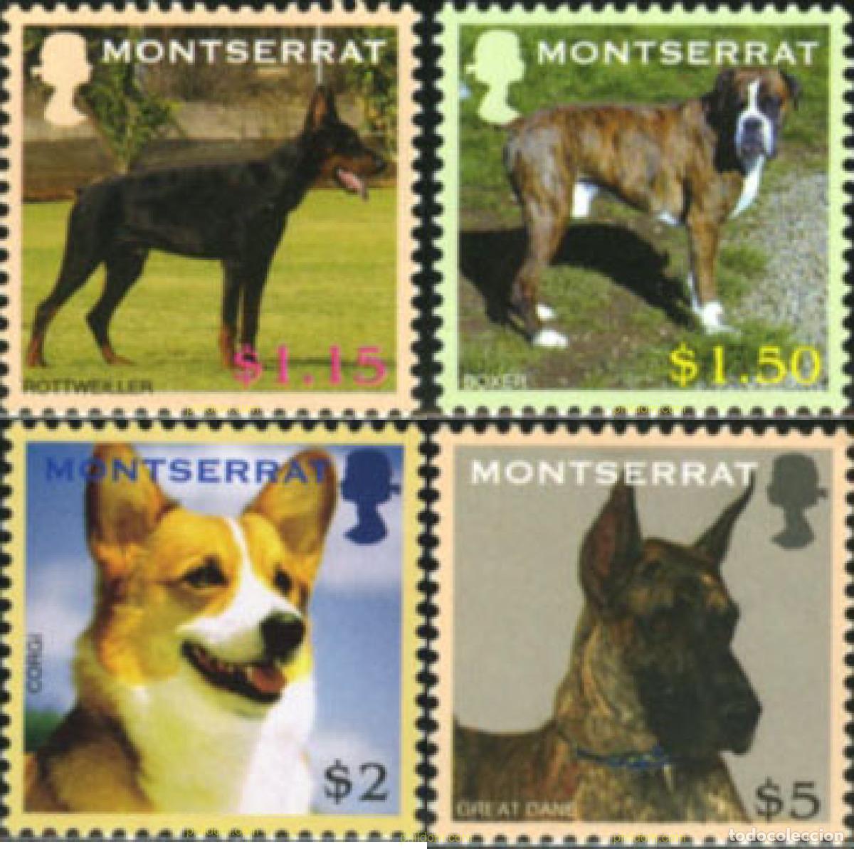 Sellos: 186558 MNH MONTSERRAT 2006 PERROS - Foto 1
