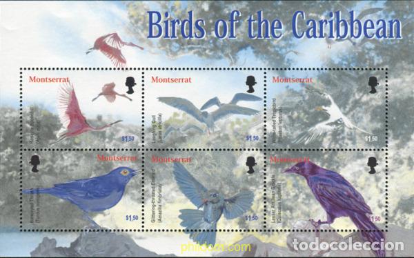 Sellos: 345601 MNH MONTSERRAT 2003 AVES - Foto 1