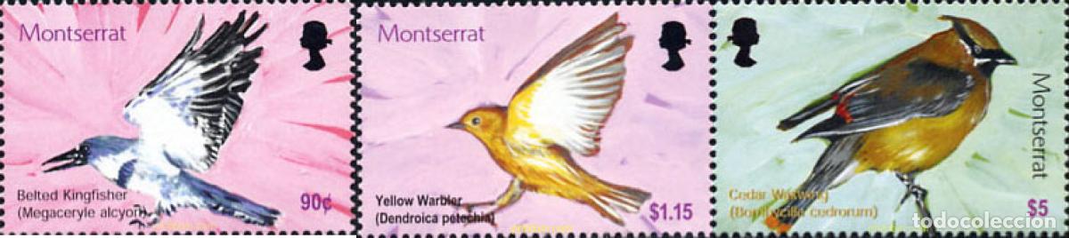 Sellos: 597788 MNH MONTSERRAT 2003 AVES - Foto 1