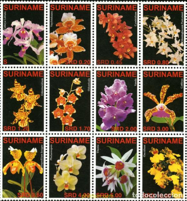 Sellos: 238955 MNH SURINAM 2007 ORQUIDEAS - Foto 1