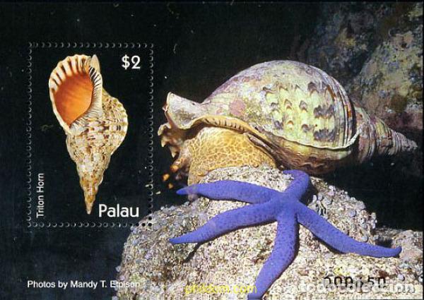 Sellos: 203249 MNH PALAU 2007 CARACOLAS MARINAS - Foto 1