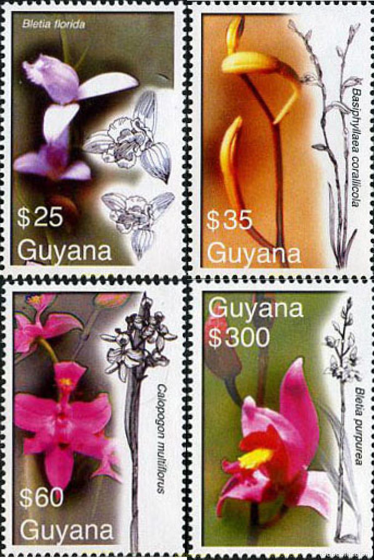 Sellos: 203299 MNH GUYANA 2007 ORQUIDEAS - Foto 1