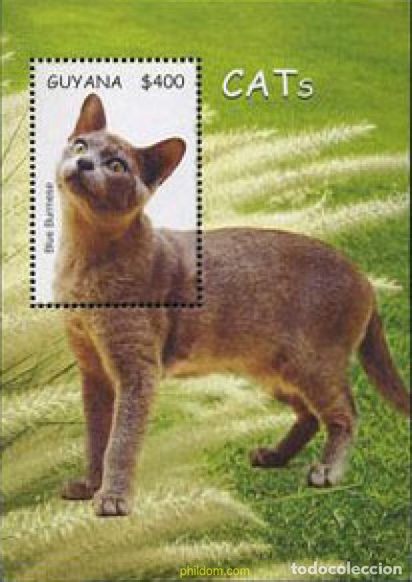 Sellos: 203660 MNH GUYANA 2007 GATOS - Foto 1