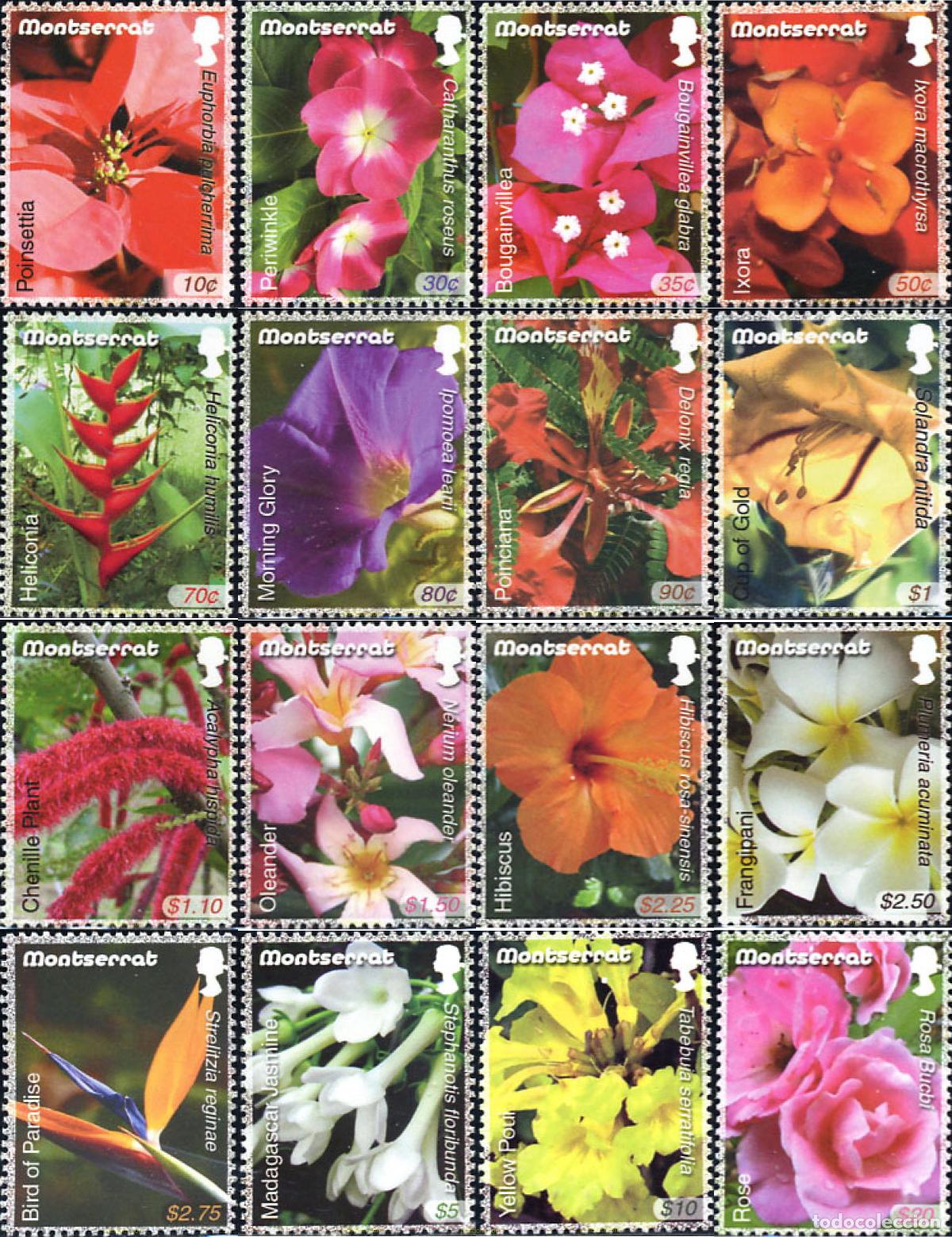 Sellos: 211026 MNH MONTSERRAT 2007 FLORES - Foto 1