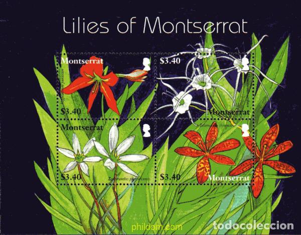 Sellos: 225572 MNH MONTSERRAT 2007 LIRIOS - Foto 1
