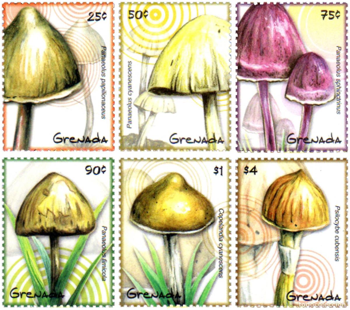Sellos: 226556 MNH GRANADA 2009 SETAS - Foto 1