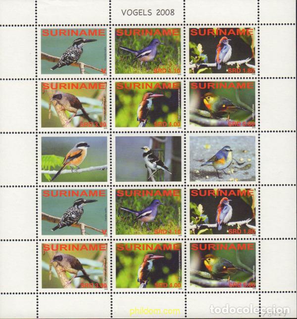 Sellos: 370327 MNH SURINAM 2008 PAJAROS - Foto 1