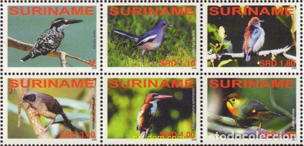 Sellos: 576321 MNH SURINAM 2008 PAJAROS - Foto 1