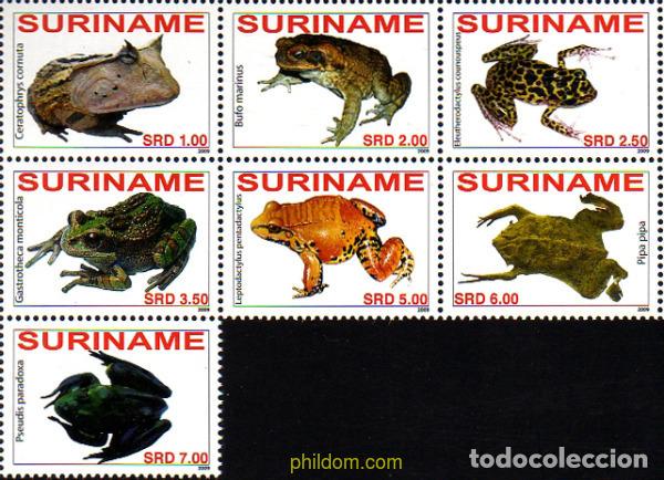 Sellos: 238915 MNH SURINAM 2009 BATRACIOS - Foto 1