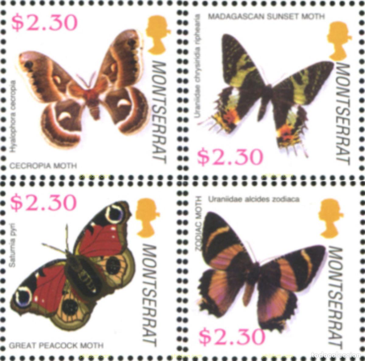 Sellos: 228027 MNH MONTSERRAT 2006 MARIPOSAS - Foto 1