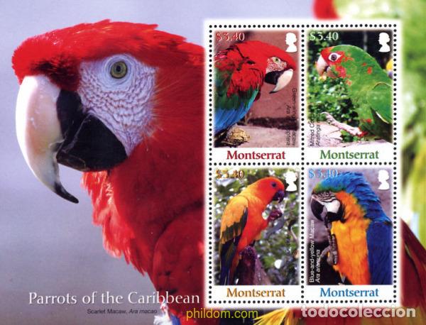Sellos: 229023 MNH MONTSERRAT 2007 LOROS - Foto 1