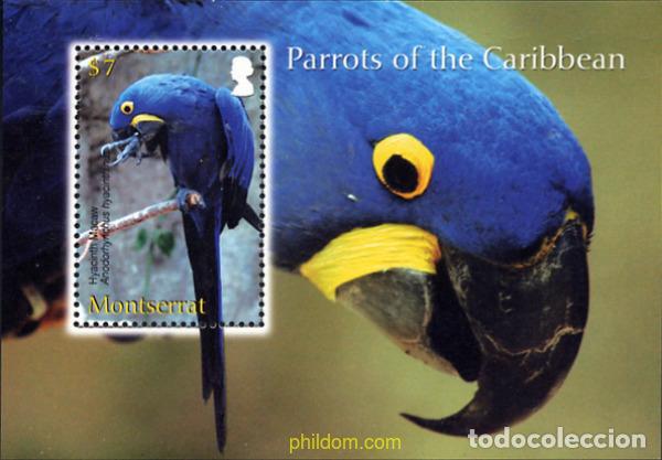 Sellos: 229020 MNH MONTSERRAT 2007 LORO - Foto 1