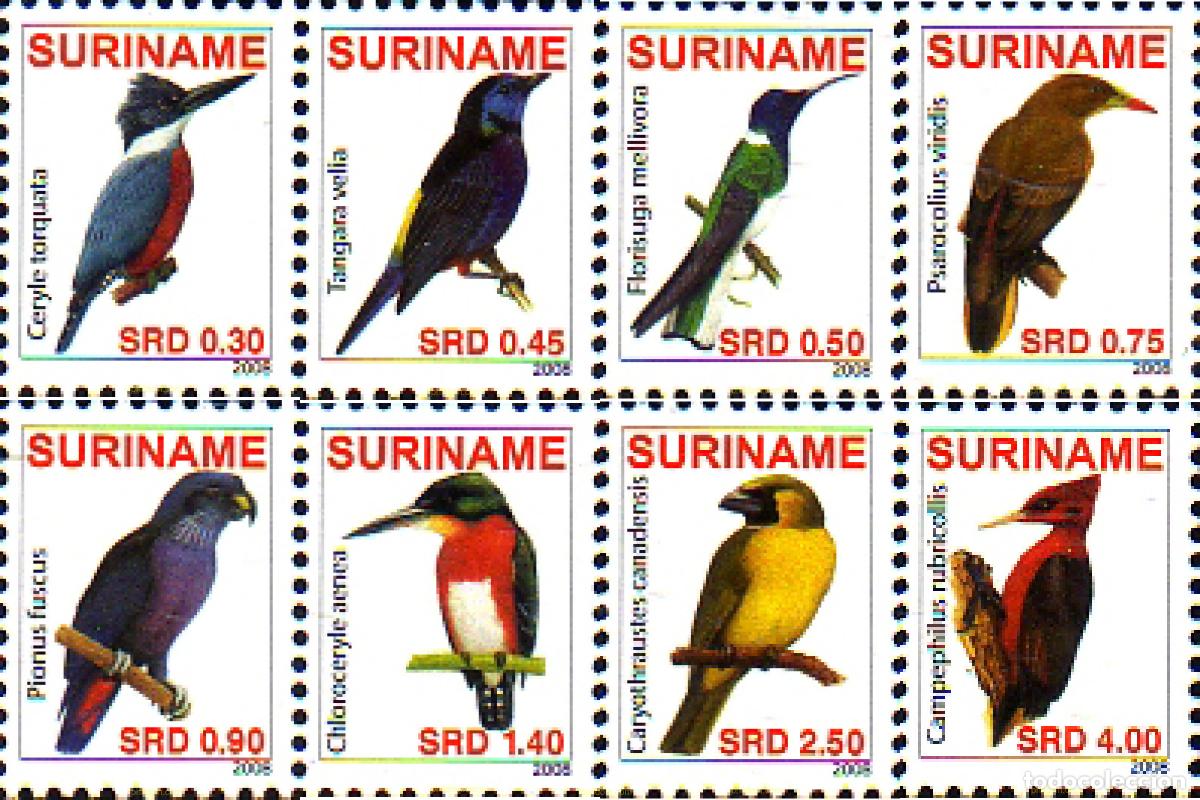 Sellos: 236089 MNH SURINAM 2008 AVES - Foto 1