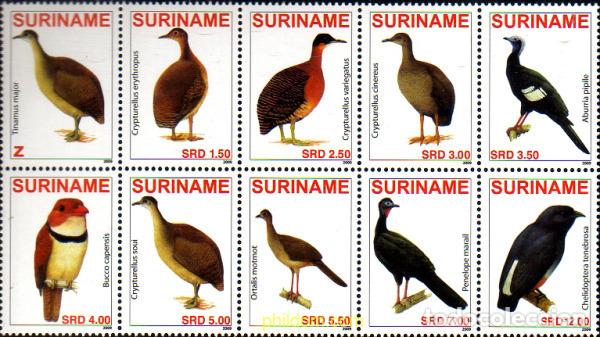 Sellos: 236073 MNH SURINAM 2009 AVES - Foto 1