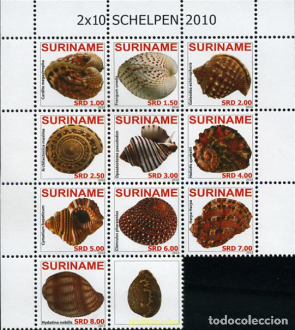 Sellos: 364965 MNH SURINAM 2010 CONCHAS - Foto 1
