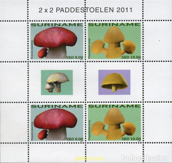 Sellos: 364966 MNH SURINAM 2011 SETAS - Foto 1