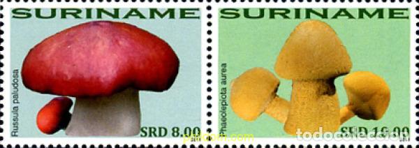 Sellos: 260552 MNH SURINAM 2011 SETAS - Foto 1