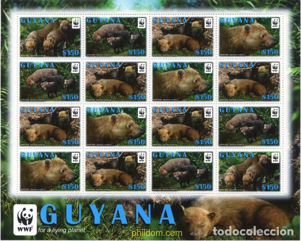 Sellos: 264628 MNH GUYANA 2011 SALVAD EL PLANETA - Foto 1