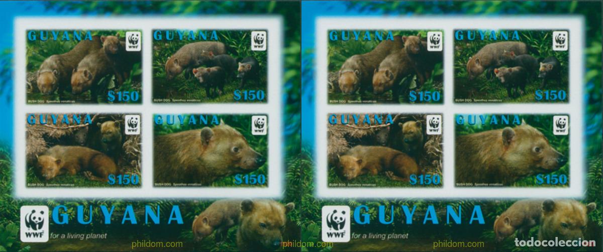 Sellos: 276802 MNH GUYANA 2011 SALVAD EL PLANETA - Foto 1