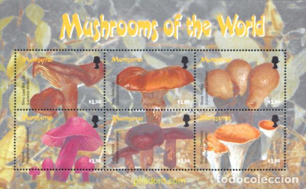 Sellos: 228034 MNH MONTSERRAT 2003 SETAS - Foto 1