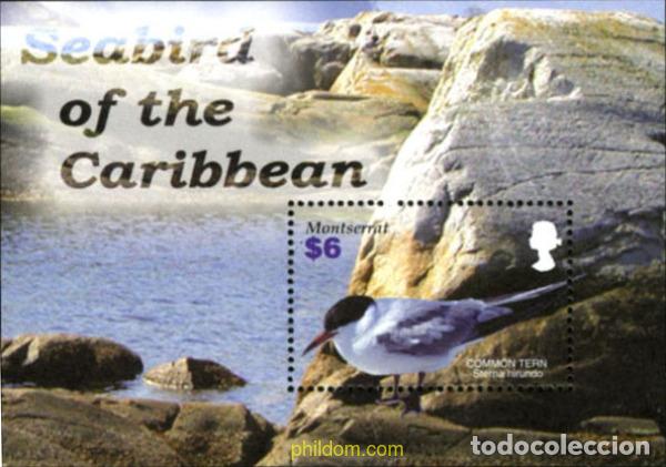 Sellos: 184212 MNH MONTSERRAT 2005 AVES - Foto 1