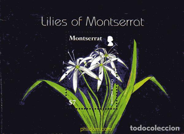 Sellos: 220197 MNH MONTSERRAT 2007 LIRIOS - Foto 1